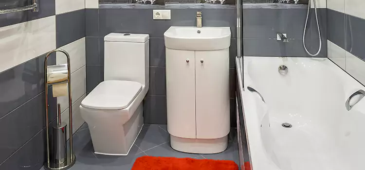Hansgrohe Shaving Mirror West New York
